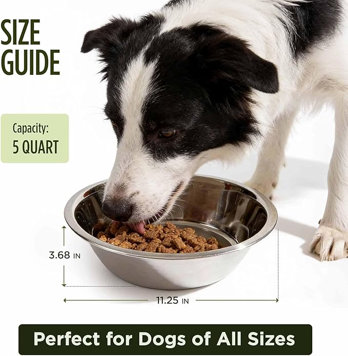 Scott Pet Bowl Stainless Steel 5 Quart,Silver (Pack of 2)