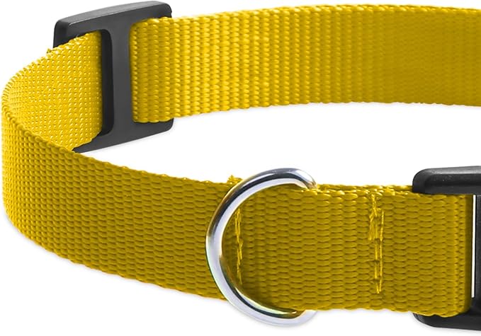 Modern Stylish Ecollar Replacement Strap, Nylon 3/4" Replacement Collar for Shock Collar with Quick Release Buckle, Soft Shock Collar Replacement Strap for Small Medium Large Dogs (Pink & Yellow)