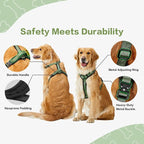 PawsPassion Dog Harness for X-Large Dogs, No Pull Dog Harness Easy Walk with Metal Hardware, Ergonomic Y-Shaped Design, Soft Padding, Padded Handle, Durable High-Tensile Nylon (Evergreen, XL)