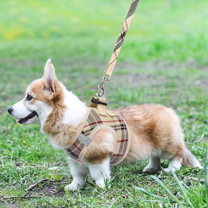 KOOLTAIL Dog Harness and Leash Set for Medium Large Dogs, Step in No Pull Soft Mesh Dog Harness Comfort Padded Pet Vest, Adjustable Reflective Easy Walking Puppy Cats Harnesses Training