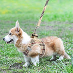 KOOLTAIL Dog Harness and Leash Set for Small Medium Dogs, Step in No Pull Soft Mesh Dog Harness Comfort Padded Pet Vest, Adjustable Reflective Easy Walking Puppy Cats Harnesses Training, Plaid Beige M