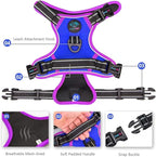 PHOEPET 2019 Upgraded No Pull Dog Harness, Reflective Adjustable Vest, with a Training Handle + 2 Metal Leash Hooks+ 3 Snap Buckles +4 Slide Buckles(XL, Royal Blue)