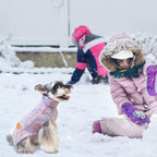 BEAUTYZOO Small Dog Sweater -Turtleneck Pullover Classic Cable Knit Fuzzy Winter Coat Dog Cold Weather Clothes for Small Medium Dogs Puppy Girl Boys(Rainbow Pink, M)