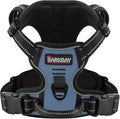 BARKBAY Dog Harness No Pull for Small Dogs - Adjustable, Reflective, Comfortable, No Choke, Heavy-Duty - Perfect for Outdoor Training, Walking, and Hiking - Strong & Durable - XS & Navy