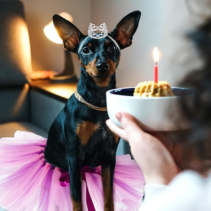 2 Pcs Dog Crown Headband Dog Tutu Dress Set Crystal Rhinestone Tiara Crown Tutu Skirt Pet Dress Costume for Puppy Birthday Party Wedding Photo Prop Costume(Small,Pink Purple)