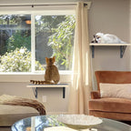 Burlywood Cat Furniture Indoor Set of 2: Wood Shelves with Scratching Pad, Climbing Shelf for Sleeping & Playing, Window Perch for Big Cats