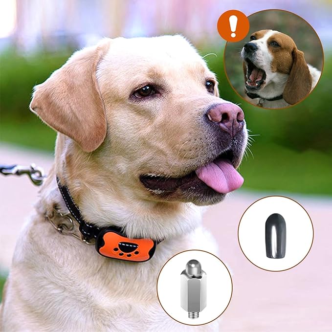 20 PCS Extra Contact Points Replacement Part for Dog Training Collars Dog Shock Collar Replacement Prongs with Rubber Tips Extra Silicone Covers for Pet Training Collar Replacement Parts (10 Pairs)