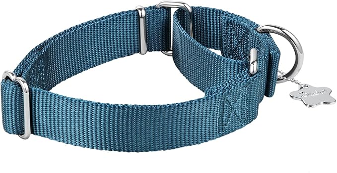 Martingale Dog Collar, No-Buckle Escape-Proof Design, Heavy-Duty Nylon and Welded D-Ring, Adjustable Training Collar for Medium Large Dogs (Haze Blue, L)