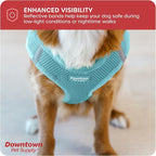 Downtown Pet Supply Step-in Dog Harness – No Pull, Adjustable Padded Mesh with Reflective Trim, Secure Buckle Strap – Comfortable & Breathable Small Dog Harness, X-Small, Light Blue