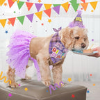 SCENEREAL Dog Birthday Bandana Hat with Dress Girl Set Party Supplies Plaid Puppy Birthday Outfit Cute Dog Tutus for Small Medium Lage Dogs, Purple Plaid