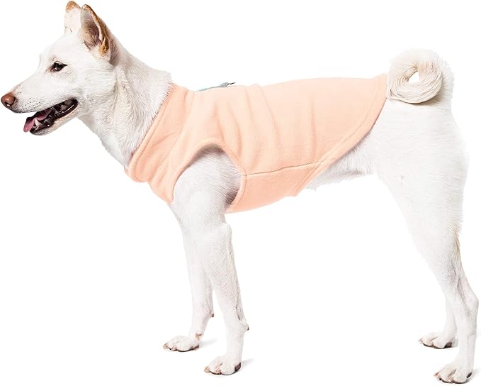 Gooby Fleece Vest Dog Sweater - Lime, Medium - Warm Pullover Fleece Dog Jacket with O-Ring Leash for Small to Medium Dogs