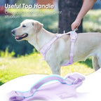 No Pull Dog Harness, Puppy Vest with Front Clip for Small Medium Large Sized Dog(Light Purple,S)