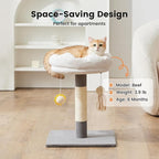 Gardner Pet 20" Cat Tree, Solid Wood Small Cat Tree with Cat Scratching-Posts & Hanging Toys for Kittens(Grey, Circle-Corduroy)