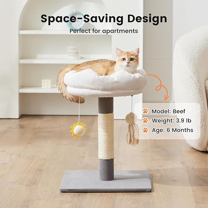 Gardner Pet 20" Cat Tree, Solid Wood Small Cat Tree with Cat Scratching-Posts & Hanging Toys for Kittens(Grey, Circle-Corduroy)