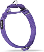 Hyhug Martingale Dog Collar Medium Purple |Escape - Proof Heavy Duty Nylon Durable No Slip, Ideal for Training & Daily Walks