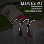PUPTECK Escape Proof Dog Harness and Leash Set Upgraded No Pull Reflective Dog Vest with Lift Handle, Easy Control Pet Harness for Medium Large Dogs Training Walking Running