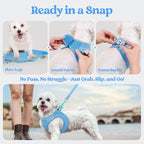 rabbitgoo Dog Harness Medium Sized and Leash Set, Step in Soft Light Puppy Vest, Breathable Mesh Pet Harness, Reflective for Safe Easy Walking, Blue XXL