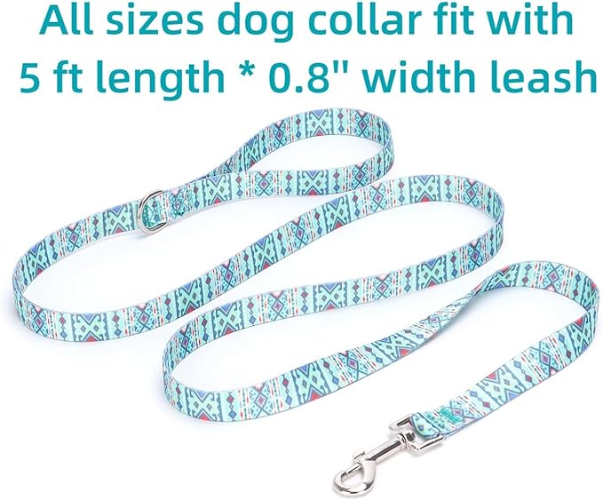 Dog Collar with Leash Airtag Holder Case Set - Dog Collars for Male Female Boy Girl Puppy X-Small Small Medium Large Dogs Walking Running Training - Maya/XS