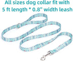 Dog Collar with Leash Airtag Holder Case Set - Dog Collars for Male Female Boy Girl Puppy X-Small Small Medium Large Dogs Walking Running Training - Maya/XS