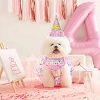 Dog Birthday Bandana with Hat and Dress Girl Set Puppy Birthday Party Supplies Cute Tutu Skirt Outfit for Small Medium Large Dogs Decorations