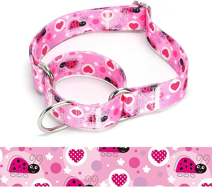Martingale Dog Collars - Flower Multicolor Cute Patterns, Adjustable Nylon Training Dog Collar Suitable for Boy and Girl Dogs Medium Large Dogs (7, M)