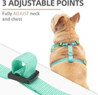 PUPTECK Small Dog Harness and Leash Set, No Pull Adjustable Puppy Cat Harness, Reflective Soft Mesh Pet Vest Small Sized, Green, S
