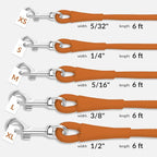 CollarDirect Rolled Leather Dog Leash 6ft, Soft Training Leather Dog Leash for Puppy and Grown Dog Small Medium Large Black Blue Red Orange Green Pink White (Orange, Size XL 6ft)
