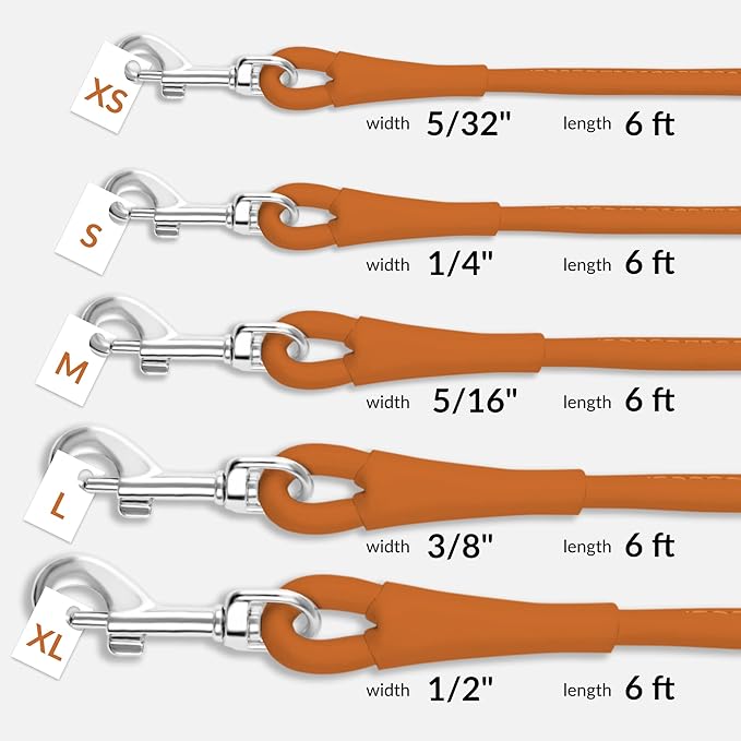 CollarDirect Rolled Leather Dog Leash 6ft, Soft Training Leather Dog Leash for Puppy and Grown Dog Small Medium Large Black Blue Red Orange Green Pink White (Orange, Size S 6ft)