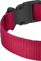 PetJoy Replacement Collar Strap for Bark and Shock Collars, 8-27 Inches Adjustable E-Collar (2-Pack Blue & Red)