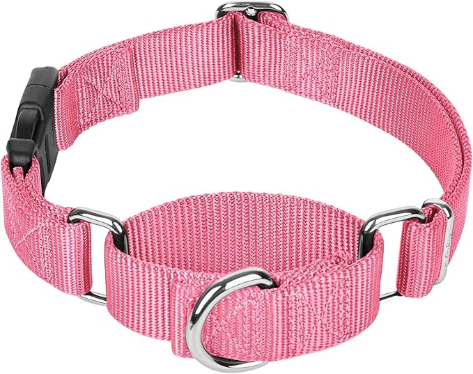 Martingale Collar for Dogs with Quick Release Buckle, Heavy-Duty Solid Color Nylon Training Collars - Adjustable No-Slip Design for Medium & Large Dog