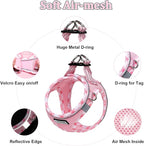 Mercano Soft Mesh Dog Harness and Leash Set, No-Chock Step-in Reflective Breathable Lightweight Easy Walk Vest Harnesses with Safety Buckle for Small Dogs, Cats (Pink, XXS)