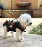 Dog Lift Harness Dog Carrier Dog VES Harness Adjustable Dog Leash with Small Puppy Treat Bag（Green,XS）