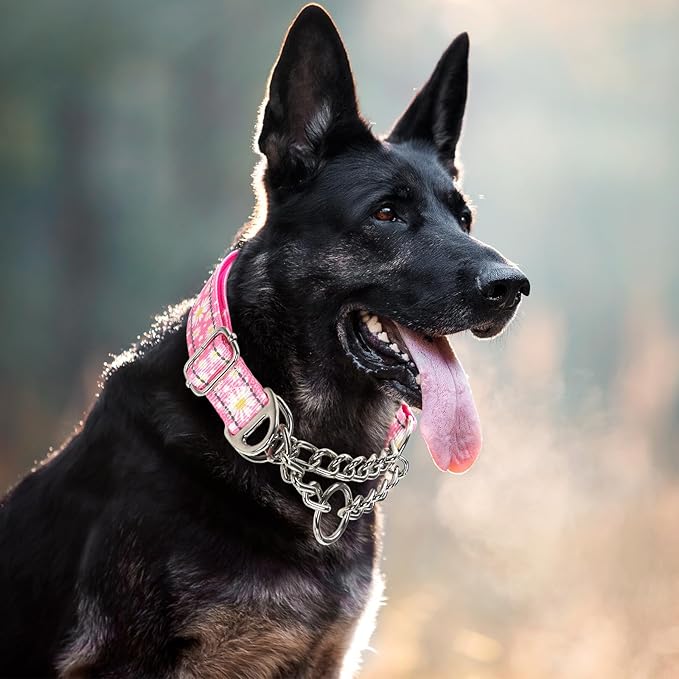 Martingale Collar for Dogs with Pink Daisy,Reflective Nylon Adjustable No Pull Dog Training Chain Collar Training, Walking, Hunting for All Breeds(Pink Daisy L)
