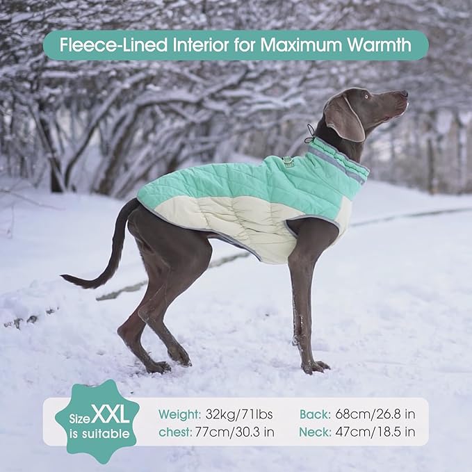 FUAMEY Dog Coat for Small Dogs,Waterproof Dog Winter Jacket with Harness Built in Puppy Cold Weather Coats Reflective Pet Vest with Zipper Warm Fleece Dogs Snowsuit Windproof Mint Green XS