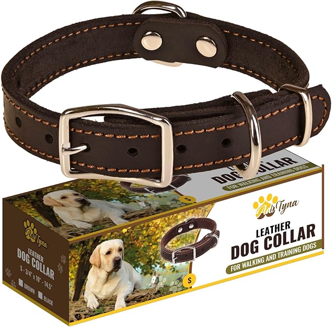Heavy Duty Black Leather Dog Collar – Soft and Strong Dog Collar for Puppy or Small Breeds Like Cavalier and Miniature Schnauzer (Small: Fit 10" - 14.5" Neck, Black)