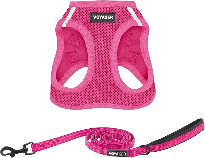 Best Pet Supplies Voyager Step-in Air All Weather Mesh Harness and Reflective Dog 5 ft Leash Combo with Neoprene Handle, for Small, Medium and Large Breed Puppies - Set (Fuchsia), XXS