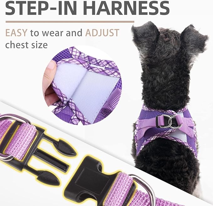 PUPTECK Dog Harness and Leash Set for Small Medium Dogs No Pull Step-in Soft Mesh Puppy Cat Vest Harnesses Reflective at Night, Purple L