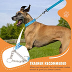 Martingale Dog Collar with Stainless Steel Chain, No Pull Slip Cinch Choker Choke Collar Training Escape Proof Heavy Duty Dog Collar for Medium Large Extra Large Pet Boy Male Dogs, Blue L