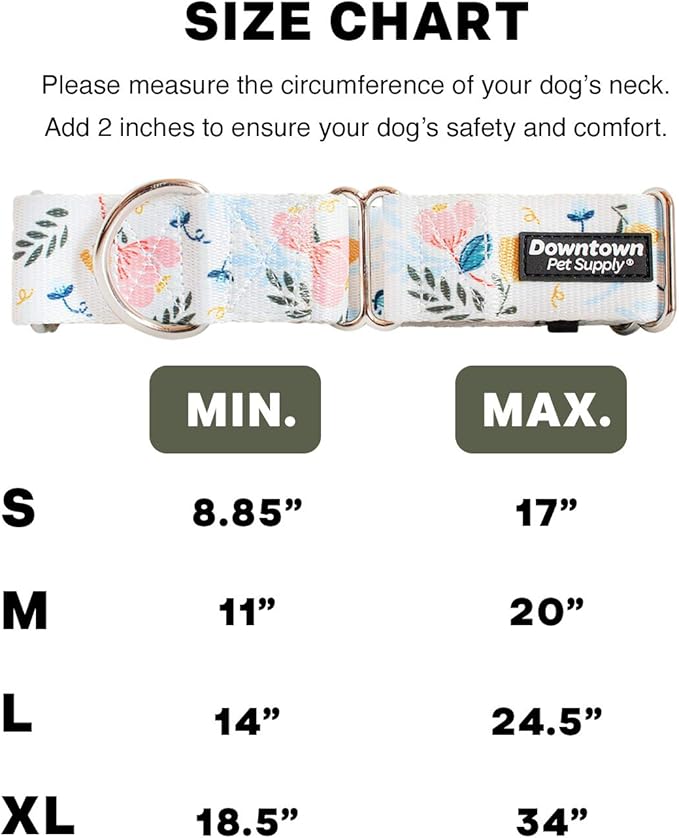 Downtown Pet Supply - Martingale Collar for Dogs - Dog Training Collar - Big, Wide & Thick Dog Collar - Escape-Proof, Weatherproof, Durable and Comfortable - Floral - Small Dog Collar