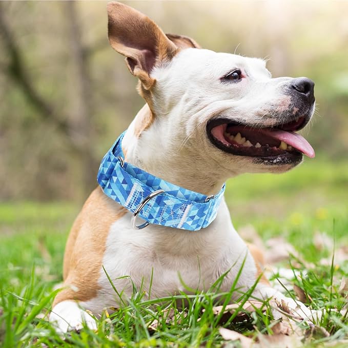 1.5 Inch Martingale Collar for Dogs, Wide, Big & Thick, No-Slip, Escape Proof, Choke-Free, No Pull Cinch Collar for Medium, Large, Extra Large Dogs - Blue XL