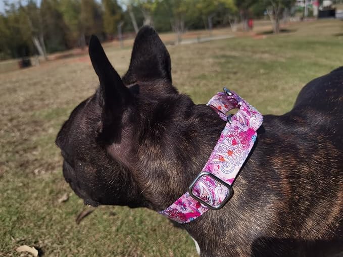 Serijoars Adjustable Martingale Dog Collar Heavy Duty Nylon Dog Collar for Medium Large Dogs Walking Training Boy and Girl Dogs (M, White)