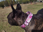 Martingale Dog Collars - Flower Multicolor Cute Patterns, Adjustable Nylon Training Dog Collar Suitable for Boy and Girl Dogs Medium Large Dogs (M, Pink)