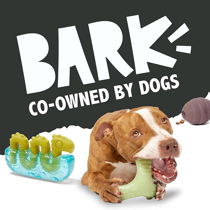 Barkbox Super Chewer Tough Dog Chew Toys for Aggressive Chewers, Treat Dispensing (Carrot - Small)