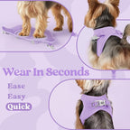 rabbitgoo Small Dog Harness, Step-in Soft Mesh Puppy Vest with Safety Buckle, Breathable Reflective Pet Harness for Large Dogs, Light Purple XXL