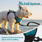 rabbitgoo Dog Harness No Pull with 2 Leash Clips, Adjustable Soft Padded, Reflective Oxford No Choke Pet Vest with Easy Control Handle for Puppy, Blue Coral, XS