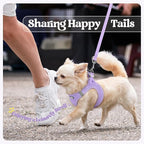 rabbitgoo Dog Harness Small Medium Sized and Leash Set, Step in Soft Light Puppy Vest, Breathable Mesh Pet Harness, Reflective for Safe Easy Walking, Light Purple XL