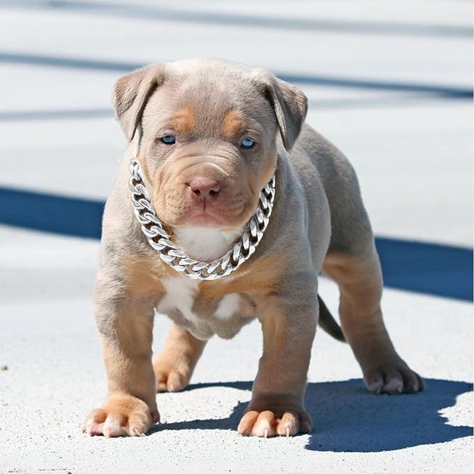 Silver Metal Dog Chain Collar with Design Secure Buckle & ID Tag,Pet Necklace,Strong Stainless Steel Cuban Link Chain,Chew Proof Indestructible Choke Walking Collar for Medium Dogs(19MM 14'')