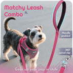 Eagloo Small Dog Harness and Leash Set, Step in Puppy Vest with Breathable Soft Mesh, Walking Reflective Pet Harness for Medium Small Dogs, Rose Red, L