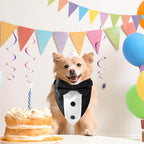 Dog Tuxedo Bandana Collar with Bow Tie, Adjustable Formal Suit Costume for Small Medium Large Dogs, Wedding Engagement Birthday Pet Outfit (Small)