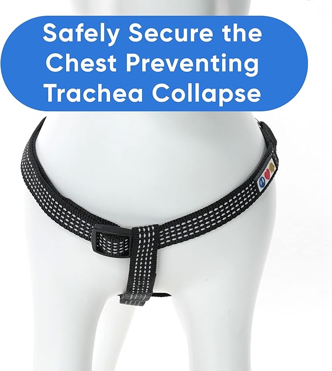 Pawtitas Reflective Step-in Dog Harness – Adjustable No-Pull Vest for Puppies to Seniors, Safe & Comfortable, XS Black